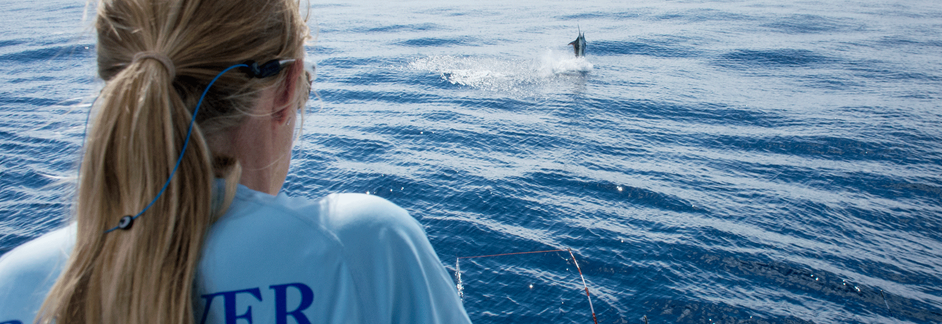 Observer watching billfish jump